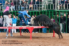 Bous Moncada (02 Marzo 2013) Bous Moncada (02 Marzo 2013)