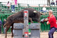 Bous Moncada (03 Marzo 2013) Bous Moncada (03 Marzo 2013)