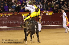 II Concurso Recortes con Toros Embolados (15 Marzo 2013) II Concurso Recortes con Toros Embolados (15 Marzo 2013)