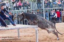 I Feria Concurso Ganaderias Vila de Foios (23 Marzo 2013) I Feria Concurso Ganaderias Vila de Foios (23 Marzo 2013)