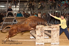 I Feria Concurso Ganaderias Vila de Foios (28 Marzo 2013) I Feria Concurso Ganaderias Vila de Foios (28 Marzo 2013)