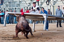 I Feria Concurso Ganaderias Vila de Foios (30 Marzo 2013) I Feria Concurso Ganaderias Vila de Foios (30 Marzo 2013)