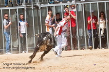 I Feria Concurso Ganaderias Vila de Foios (21 Abril 2013) I Feria Concurso Ganaderias Vila de Foios (21 Abril 2013)