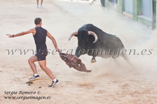 Bous Foios - Penya Taurina Pensat i Fet - (29 Junio 2013) Bous Foios - Penya Taurina Pensat i Fet - (29 Junio 2013)