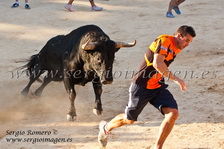 Bous Foios - Penya El Cuerno - (20 Julio 2013) Bous Foios - Penya El Cuerno - (20 Julio 2013)