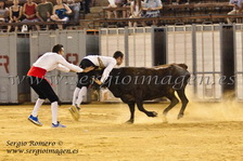 Plaza Toros Valencia (22 Julio 2013) Plaza Toros Valencia (22 Julio 2013)