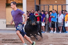 Bous Meliana - Día del Bou del Poble - (10 Agosto 2013) Bous Meliana - Día del Bou del Poble - (10 Agosto 2013)