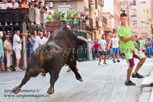 Bous Albalat - C.T. El Poal - (24 Agosto 2013) Bous Albalat - C.T. El Poal - (24 Agosto 2013)
