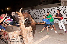 Bous Tabernes Blanques - A.T. El Carraixet - (30 Agosto 2013) Bous Tabernes Blanques - A.T. El Carraixet - (30 Agosto 2013)