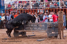 Bous Moncada - Peña Taurina San Miguel - (08 Septiembre 2013) Bous Moncada - Peña Taurina San Miguel - (08 Septiembre 2013)