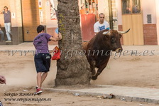 Bous Rafelbunyol - Peña Gastaura - (13 Septiembre 2013) Bous Rafelbunyol - Peña Gastaura - (13 Septiembre 2013)