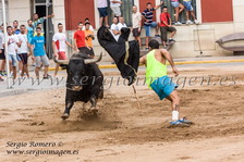 Bous Rafelbunyol - Comissió Centre 2013 - (14 Septiembre 2013) Bous Rafelbunyol - Comissió Centre 2013 - (14 Septiembre 2013)