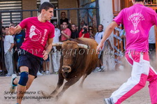 Bous Meliana - Penya Taurina 1977 - (21 Septiembre 2013) Bous Meliana - Penya Taurina 1977 - (21 Septiembre 2013)
