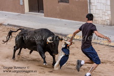 Bous Meliana - Penya Taurina 1977 - (28 Septiembre 2013) Bous Meliana - Penya Taurina 1977 - (28 Septiembre 2013)