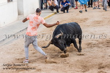 Bous Vinalesa - Aficionats Bous Cerrils - (26 Octubre 2013) Bous Vinalesa - Aficionats Bous Cerrils - (26 Octubre 2013)