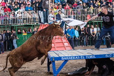 IV Concurso Ganaderías Moncada - Penya Taurina San Miguel - (15 Febrero 2014) IV Concurso Ganaderías Moncada - Penya Taurina San Miguel - (15 Febrero 2014)