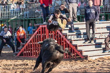 IV Concurso Ganaderías Moncada - Penya Taurina San Miguel - (22 Febrero 2014) IV Concurso Ganaderías Moncada - Penya Taurina San Miguel - (22 Febrero 2014)