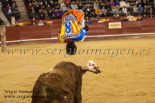 III Concurso Recorte Libre con toros embolados (14 Marzo 2014) III Concurso Recorte Libre con toros embolados (14 Marzo 2014)