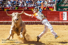 XIX Concurso Nacional de Recortes (16 Marzo 2014) XIX Concurso Nacional de Recortes (16 Marzo 2014)