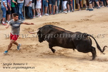Bous Foios - Penya Taurina El Cuerno - (19 Julio 2014) Bous Foios - Penya Taurina El Cuerno - (19 Julio 2014)