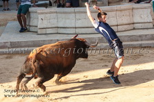 Bous Foios - Penya Taurina El Cuerno - (26 Julio 2014) Bous Foios - Penya Taurina El Cuerno - (26 Julio 2014)