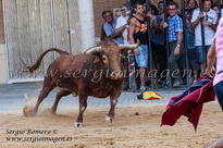 Bous Meliana - Comissió Taurina + Ke Dones - (09 Agosto 2014) Bous Meliana - Comissió Taurina + Ke Dones - (09 Agosto 2014)