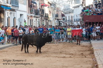 Bous Meliana - Bou 80 - (10 Agosto 2014) Bous Meliana - Bou 80 - (10 Agosto 2014)
