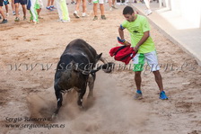 Bous Meliana - C.T. Els Xiquets - (16 Agosto 2014) Bous Meliana - C.T. Els Xiquets - (16 Agosto 2014)