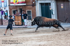 Bous La Vilavella - Sant Xotxim - (22 Agosto 2014) Bous La Vilavella - Sant Xotxim - (22 Agosto 2014)