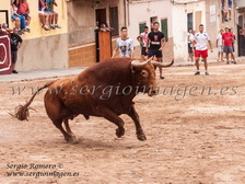 Bous La Vilavella - Sant Xotxim - (31 Agosto 2014) Bous La Vilavella - Sant Xotxim - (31 Agosto 2014)