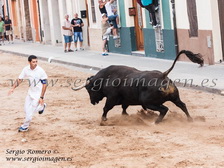 Bous Meliana - Penya Taurina 1977 - (20 Septiembre 2014) Bous Meliana - Penya Taurina 1977 - (20 Septiembre 2014)
