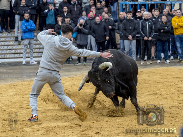 Bous Almàssera - A.C.T. Sant Antoni - (17 Enero 2026)
